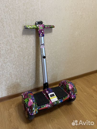 Segway minipro 10.5