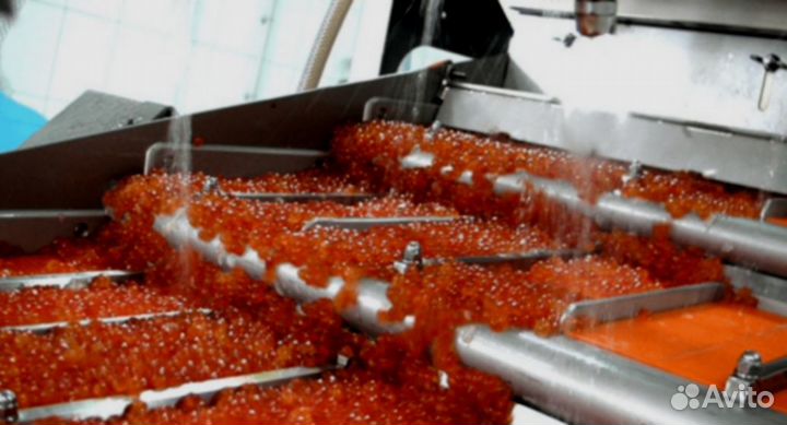 Бизнес без вложений p-4945