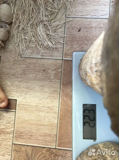 Самшит заготовки