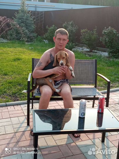 Ищем девочку для вязки нам 10 месяцев