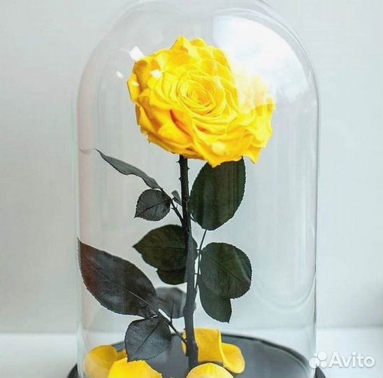 Неувядающая роза в колбе