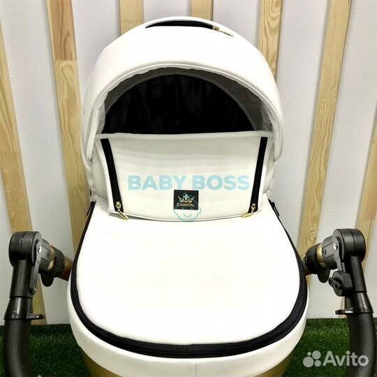 Коляска детская Adamex Chantal Star Eco