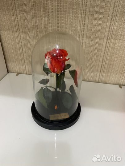 Роза в колбе