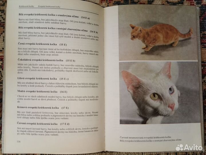 Книги на Чешском языке