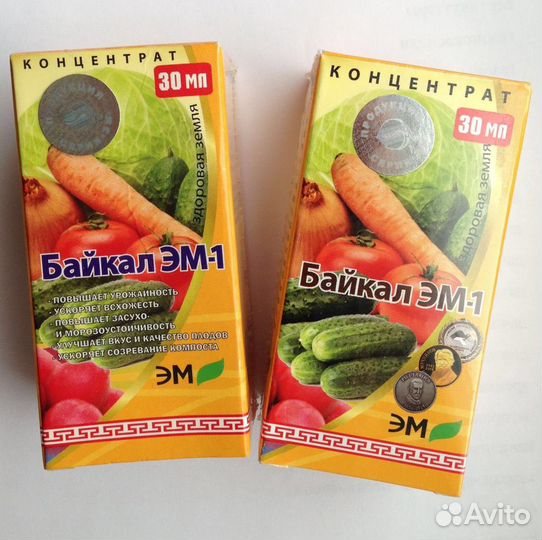 Байкал эм-1