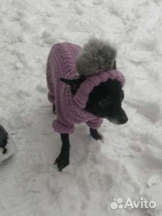 Вязаная одежда для собак и кошек