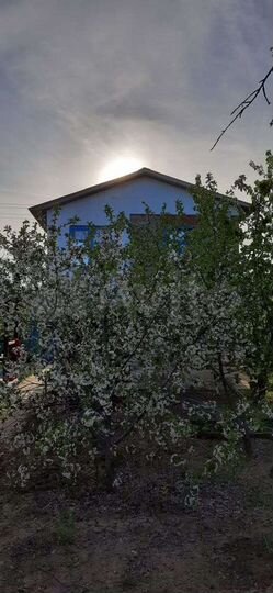 Дача 40 м² на участке 6 сот.