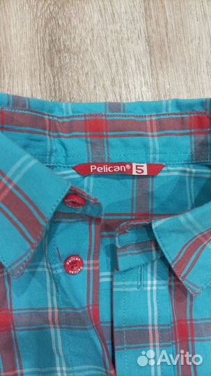 Рубашка pelican