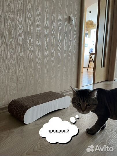 Когтеточка для кошек