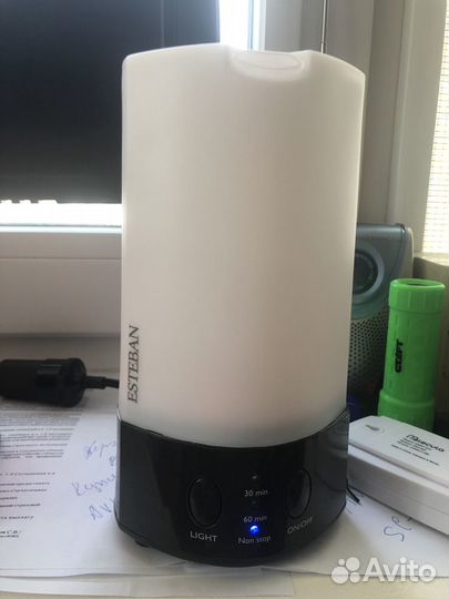 Коллекция больших и маленьких раковин и ракушек