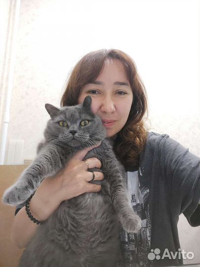 Котоняня