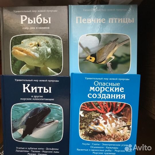 Удивительный мир живой природы