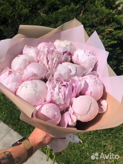 Цветы пионы с доставкой