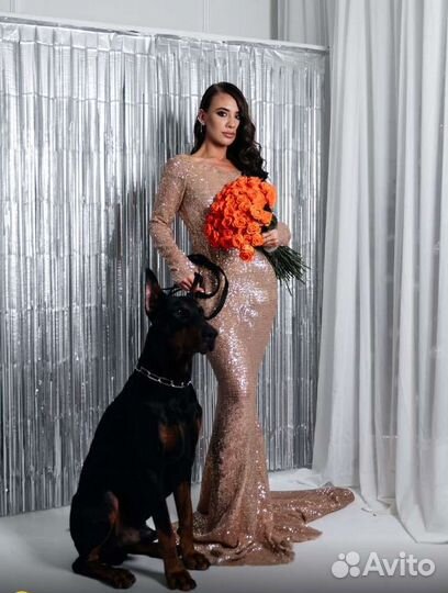 Общение с добрым Доберманом