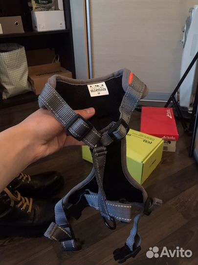 Шлейка для собак средней породы