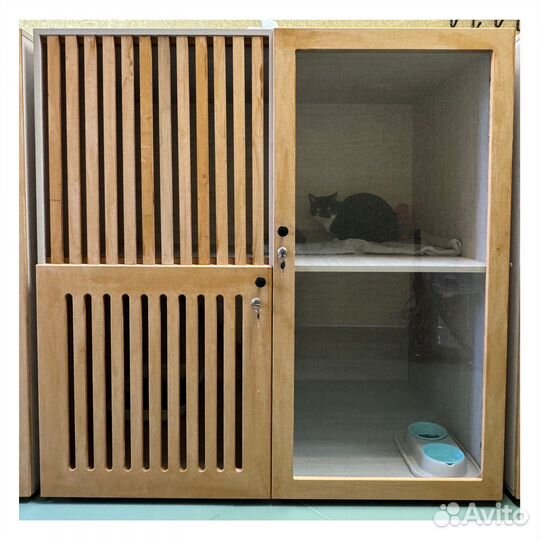 Зоогостиница Дом С Котом