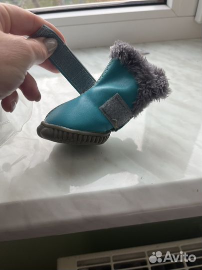 Обувь для собаки средних пород