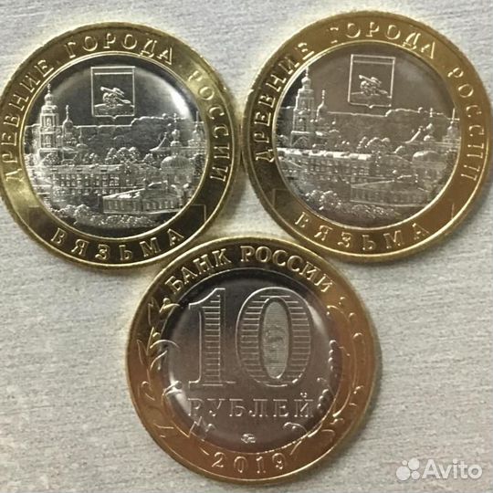 Вязьма мешковая