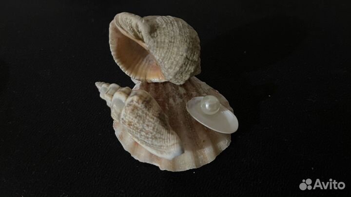 Декорация для аквариума, фигурки из ракушек