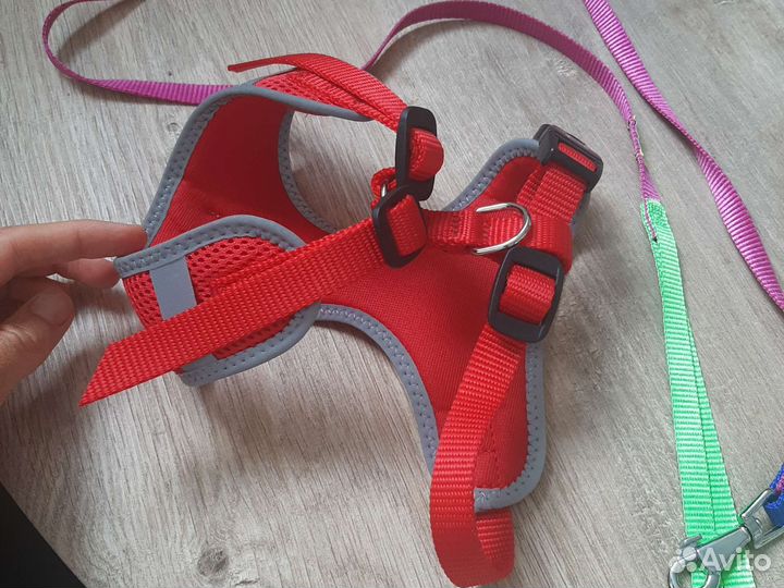 Шлейка и поводок