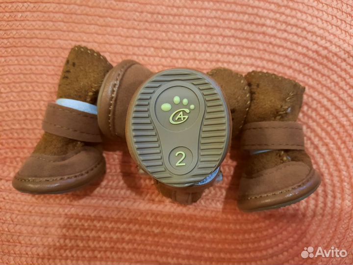 Обувь для собак