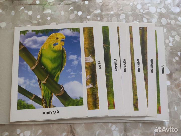 Обучающие карточки для малышей