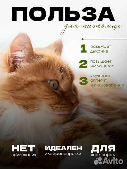 Кошачий леденец с мятой на стену