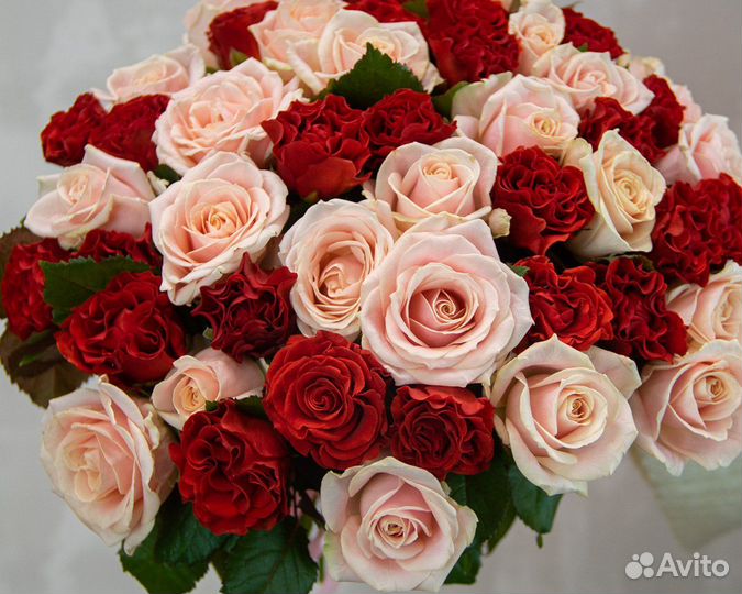Букет из 51 красной и розовой розы 50-60 см