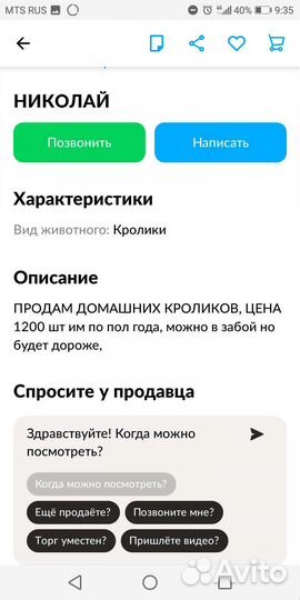 Домашние кролики