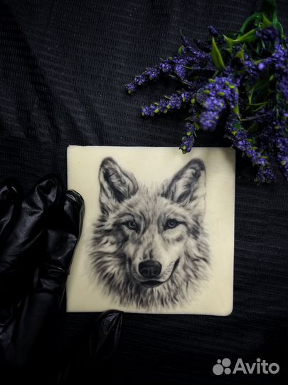 Ищу модели на тату