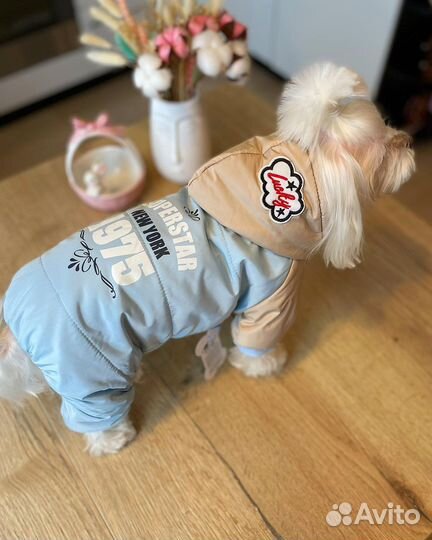 Комбинезоны для собак