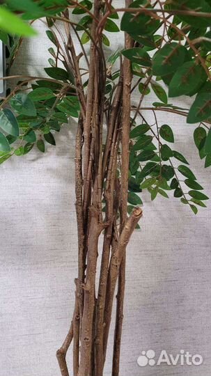 Искусственный фикус дерево