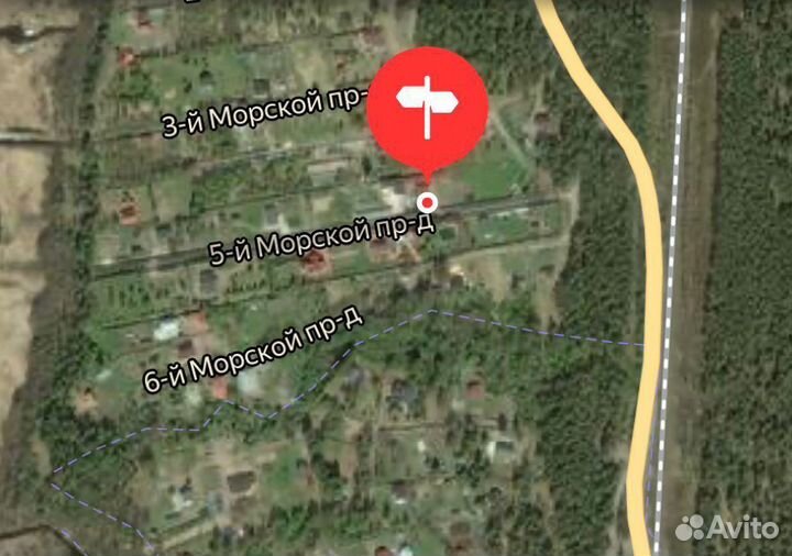 Яйца домашние куриные