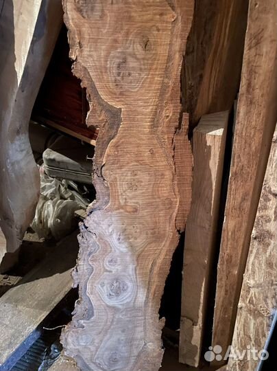 Каповый слэб, спил, кап карагач