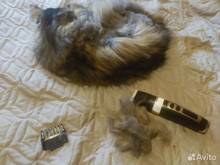 Машинка для стрижки Собак и Кошек BaoRun P9
