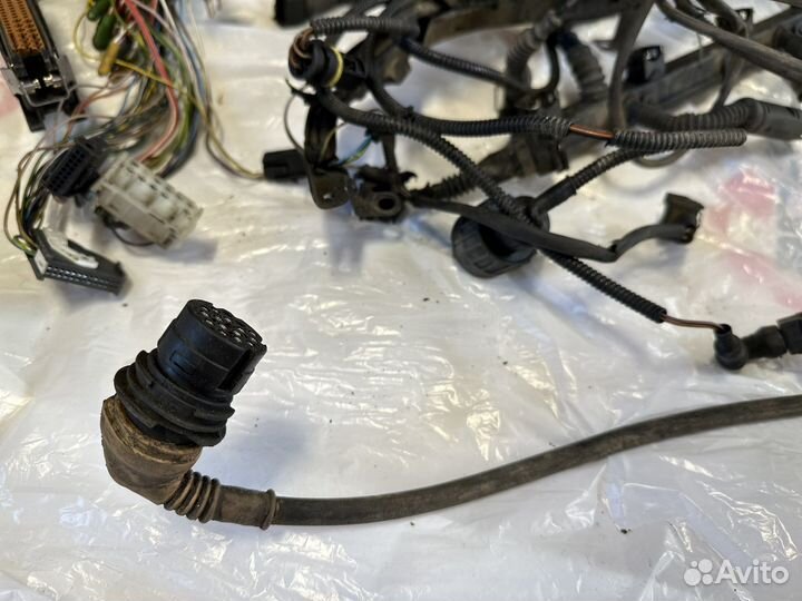 Проводка двигателя BMW M52b20