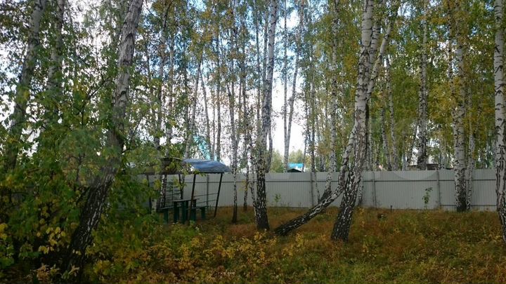 Участок 15 сот. (СНТ, ДНП)