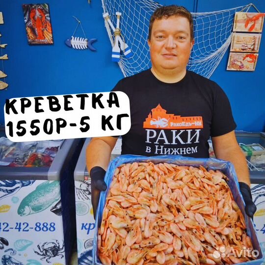 Креветка Северная, в/м, 250+, без глазури, кг