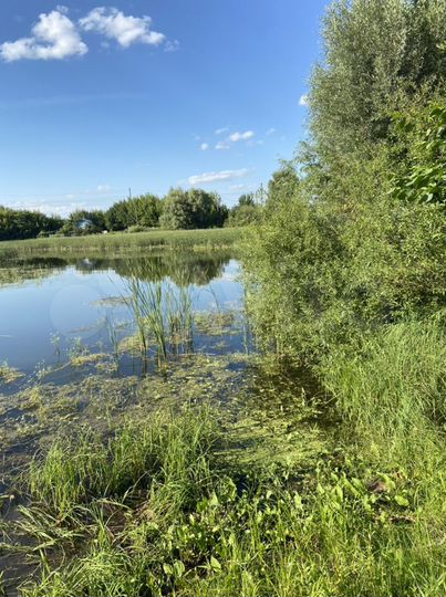 Дом 85 м² на участке 15,5 сот.