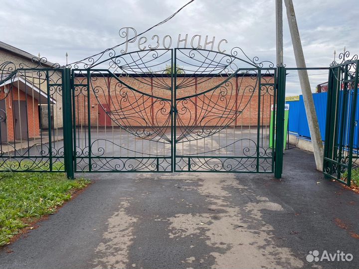 Пшеница, ячмень, горох