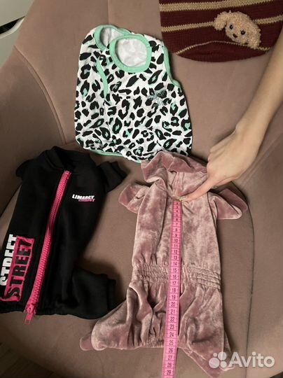 Одежда для чихуахуа