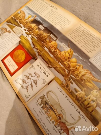 Динозавроведение. Поиски затерянного мира Раймс Ро