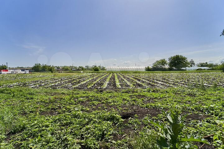 Участок 5,5 сот. (ИЖС)