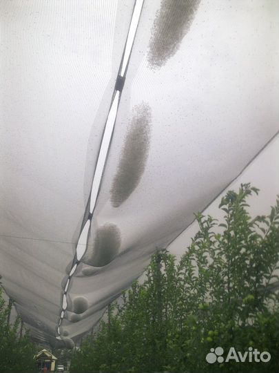 Сетка против града для яблок, винограда