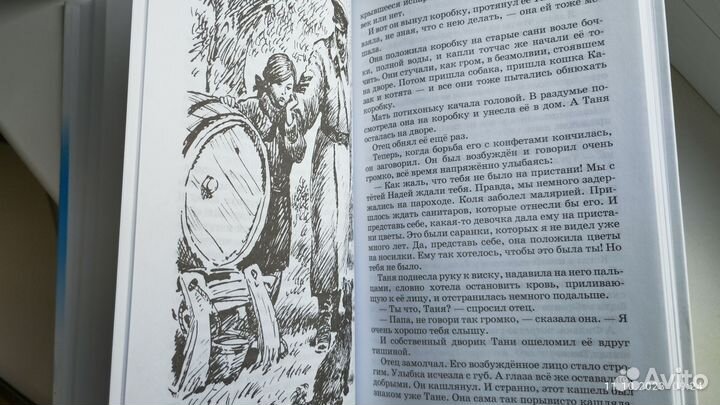 Дикая собака динго