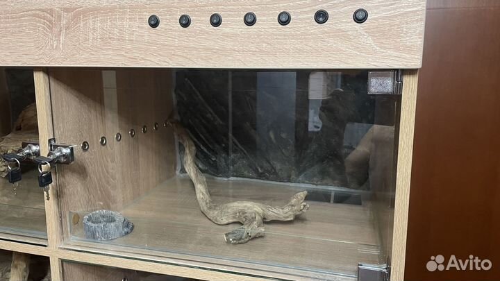 Террариум для рептилий