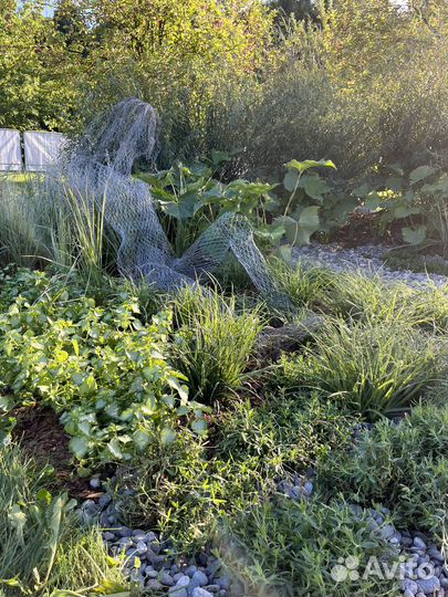 Скульптура девушки