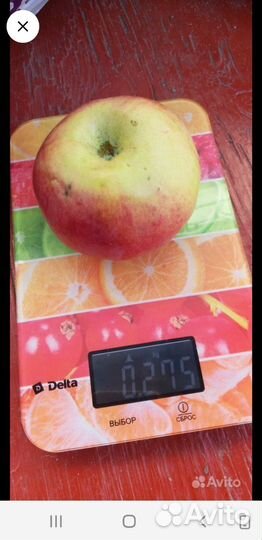 Яблоки домашние