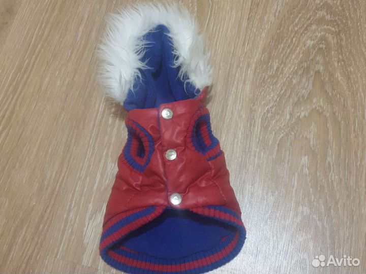 Продам куртку тёплую бу для мини собачки
