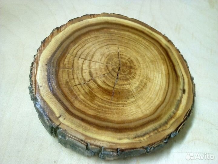 Спил дерева для декора
